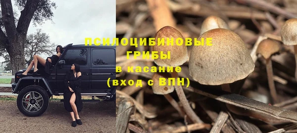 spice Кинешма