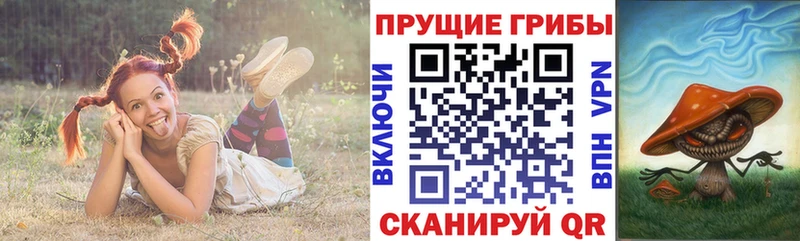 дарнет шоп Нюрба MEGA онион Псилоцибиновые грибы MAGIC MUSHROOMS